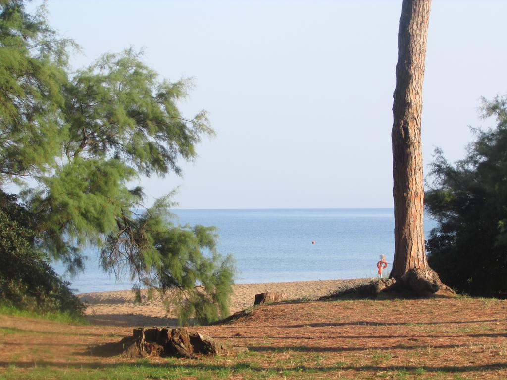 Vila Azienda Agrituristica Allumiere Campiglia Marittima Exteriér fotografie