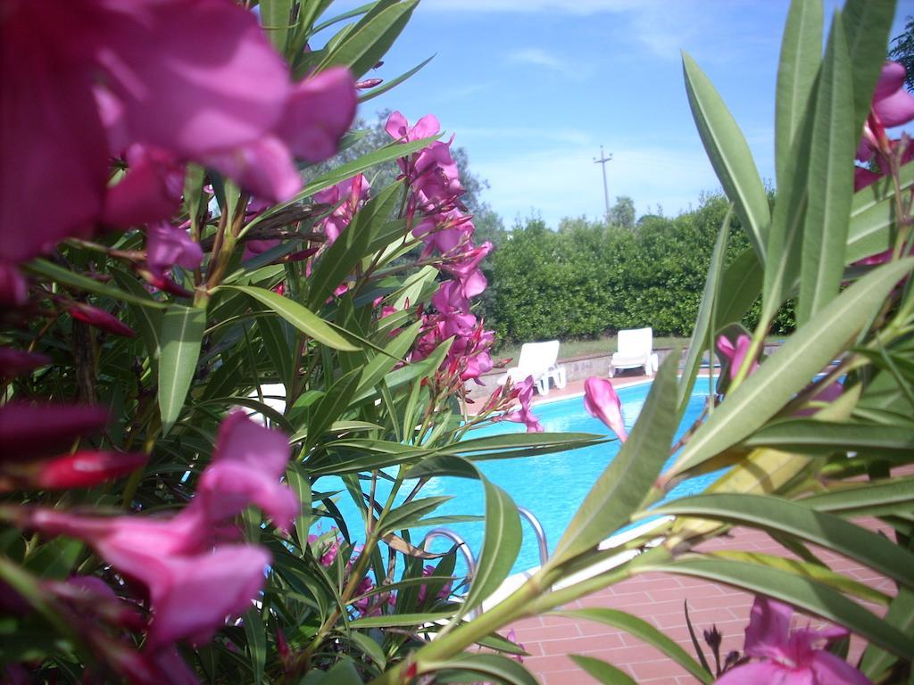 Vila Azienda Agrituristica Allumiere Campiglia Marittima Exteriér fotografie